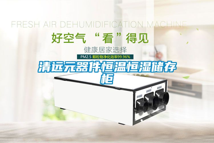清遠元器件恒溫恒濕儲存柜