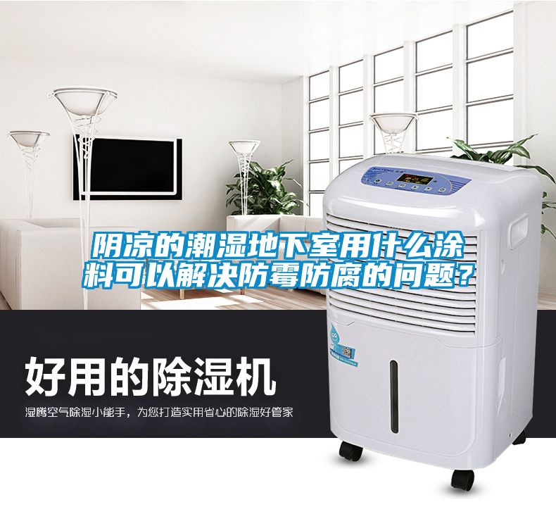 陰涼的潮濕地下室用什么涂料可以解決防霉防腐的問題？
