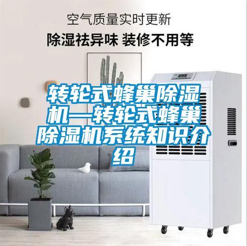 轉輪式蜂巢除濕機—轉輪式蜂巢除濕機系統(tǒng)知識介紹