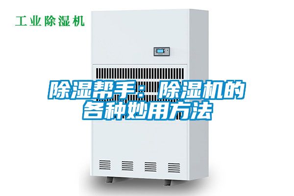 除濕幫手：除濕機的各種妙用方法