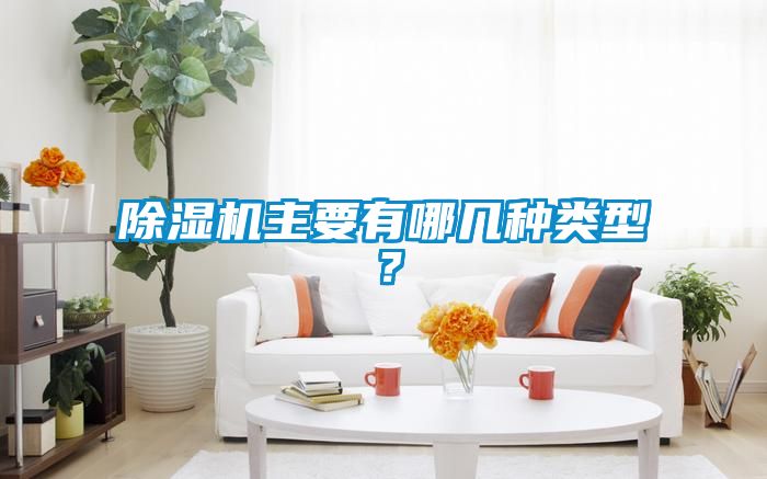 除濕機主要有哪幾種類型？