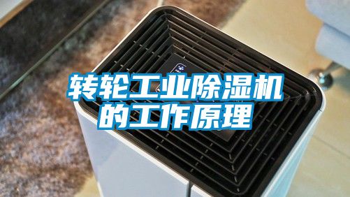 轉輪工業除濕機的工作原理