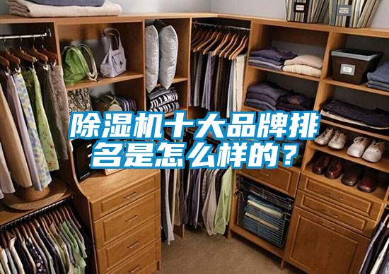 除濕機十大品牌排名是怎么樣的？