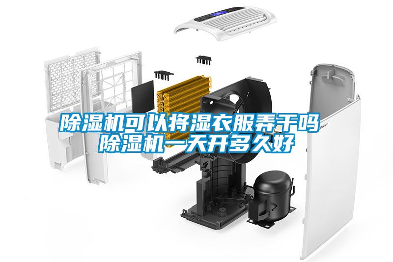 除濕機(jī)可以將濕衣服弄干嗎 除濕機(jī)一天開(kāi)多久好