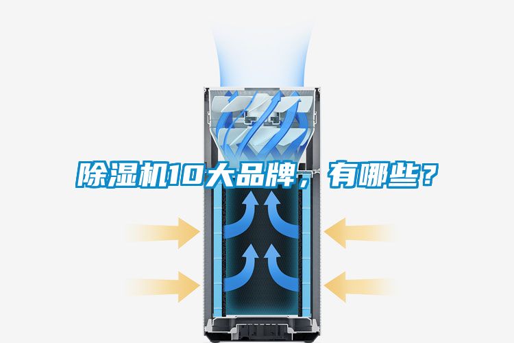 除濕機(jī)10大品牌，有哪些？