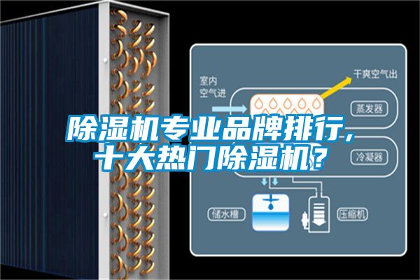 除濕機專業品牌排行,十大熱門除濕機？