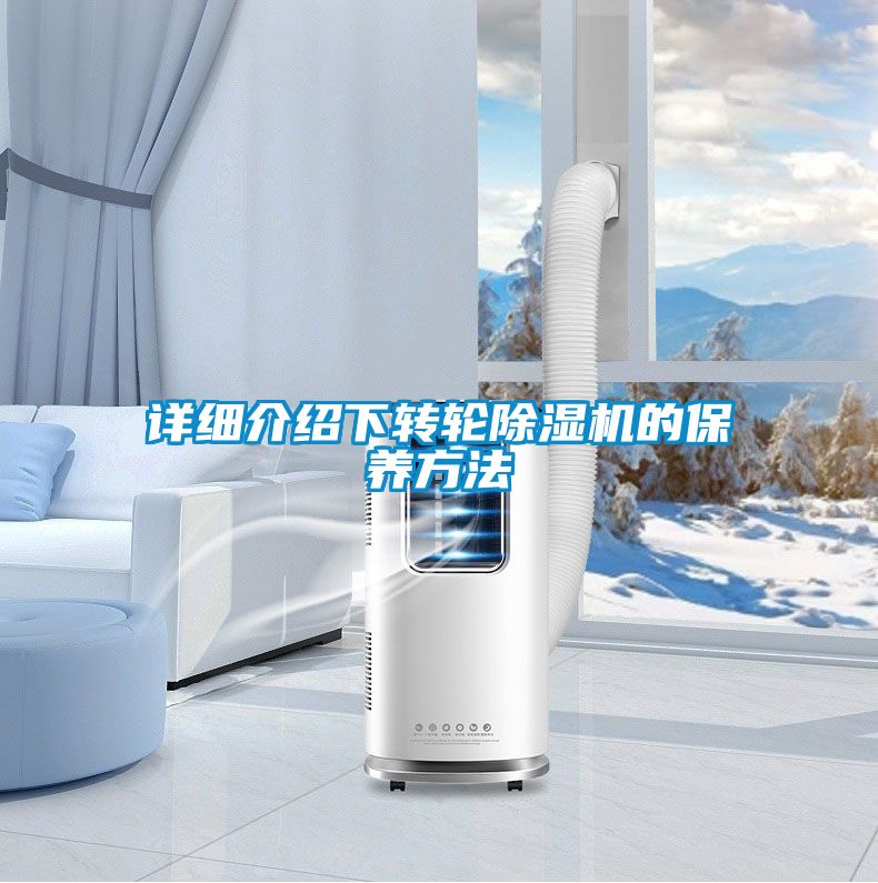 詳細介紹下轉輪除濕機的保養方法