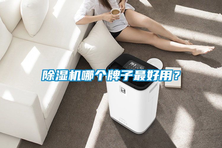 除濕機哪個牌子最好用？