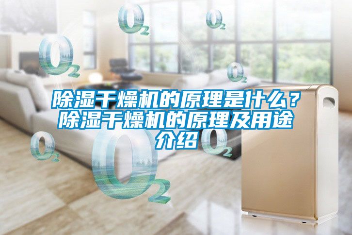 除濕干燥機的原理是什么？除濕干燥機的原理及用途介紹