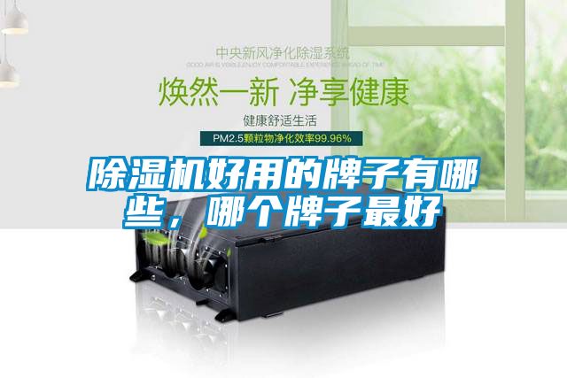 除濕機好用的牌子有哪些，哪個牌子最好