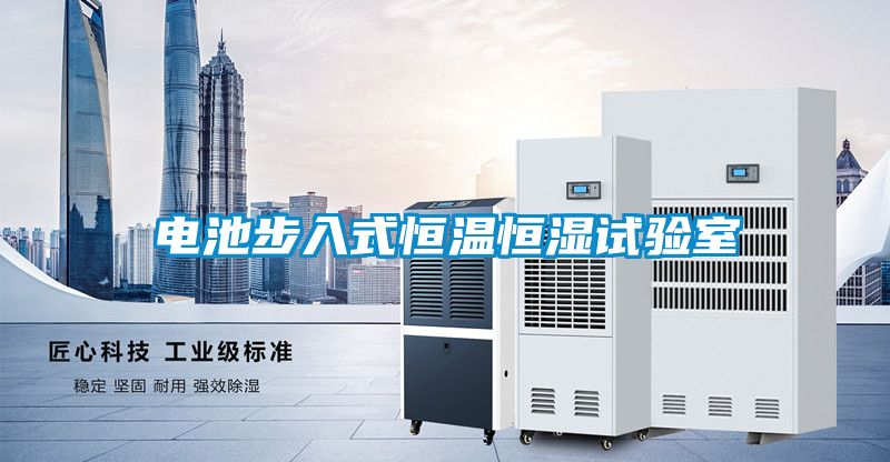 電池步入式恒溫恒濕試驗(yàn)室