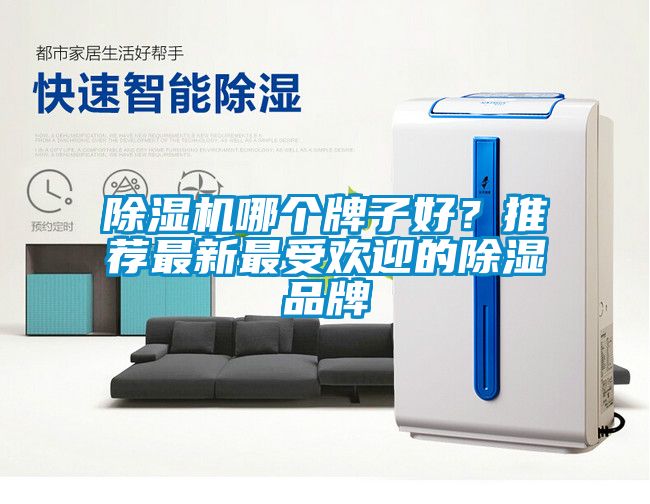 除濕機哪個牌子好？推薦最新最受歡迎的除濕品牌