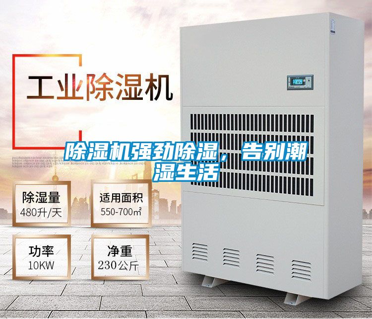 除濕機強勁除濕，告別潮濕生活