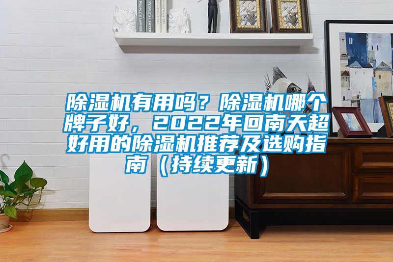 除濕機有用嗎？除濕機哪個牌子好，2022年回南天超好用的除濕機推薦及選購指南（持續更新）