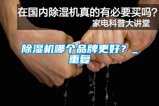 除濕機哪個品牌更好？_重復