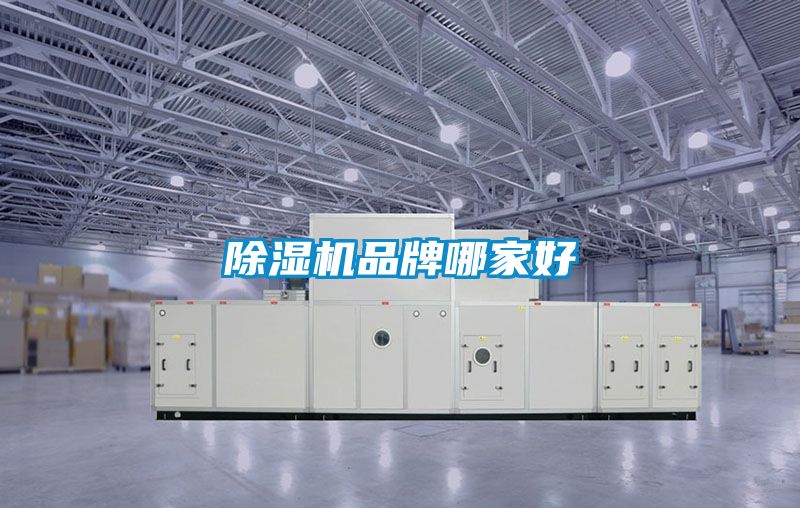 除濕機品牌哪家好