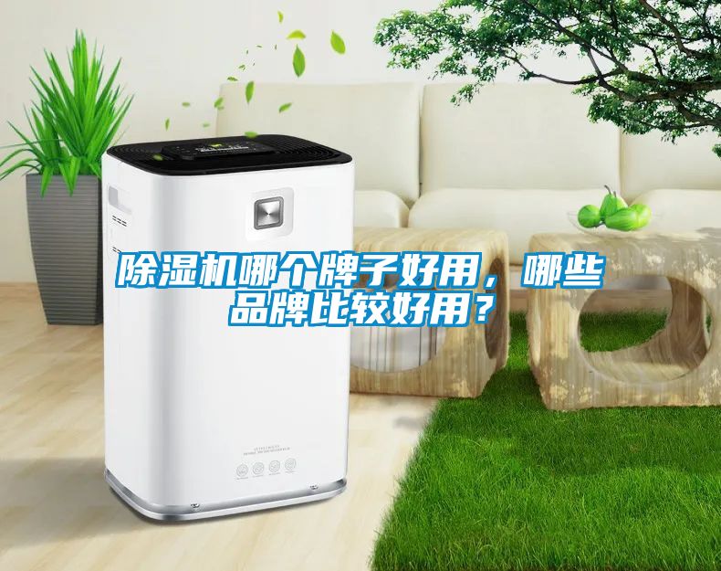 除濕機(jī)哪個(gè)牌子好用，哪些品牌比較好用？