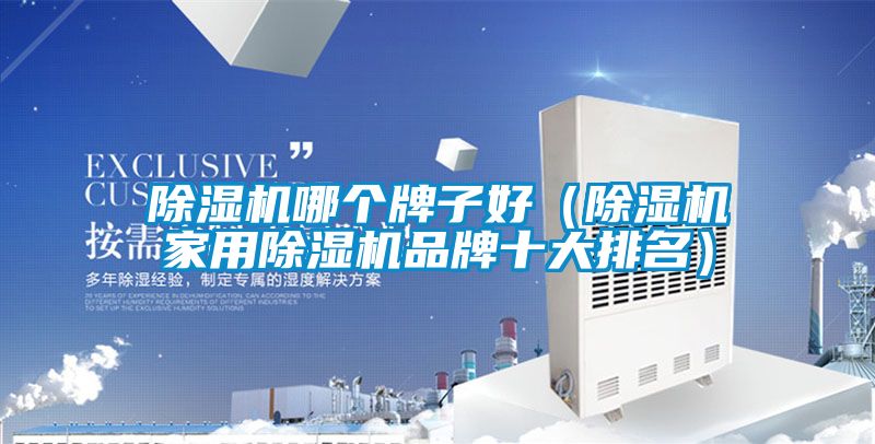 除濕機(jī)哪個(gè)牌子好（除濕機(jī)家用除濕機(jī)品牌十大排名）