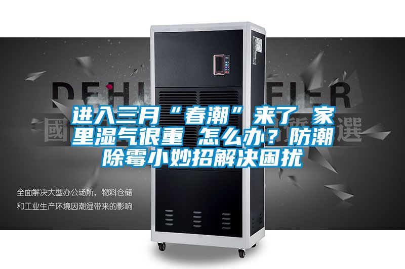 進(jìn)入三月“春潮”來了 家里濕氣很重 怎么辦？防潮除霉小妙招解決困擾