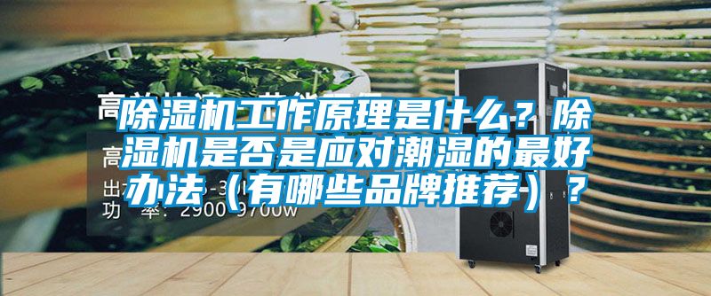 除濕機(jī)工作原理是什么？除濕機(jī)是否是應(yīng)對(duì)潮濕的最好辦法（有哪些品牌推薦）？