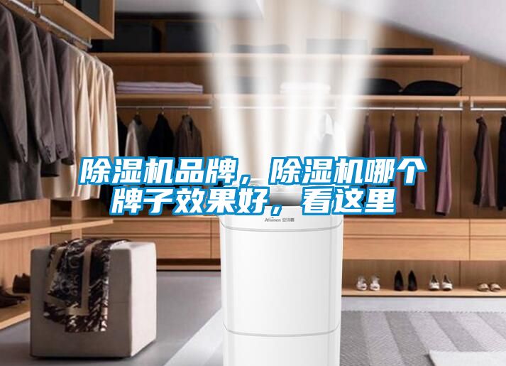 除濕機品牌，除濕機哪個牌子效果好，看這里