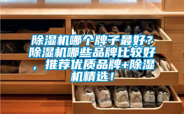 除濕機哪個牌子最好？除濕機哪些品牌比較好，推薦優(yōu)質(zhì)品牌+除濕機精選！
