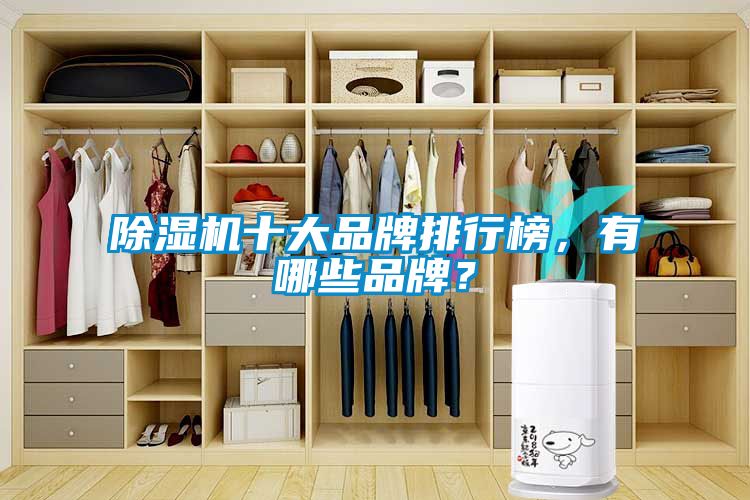 除濕機(jī)十大品牌排行榜，有哪些品牌？