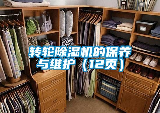 轉(zhuǎn)輪除濕機的保養(yǎng)與維護（12頁）
