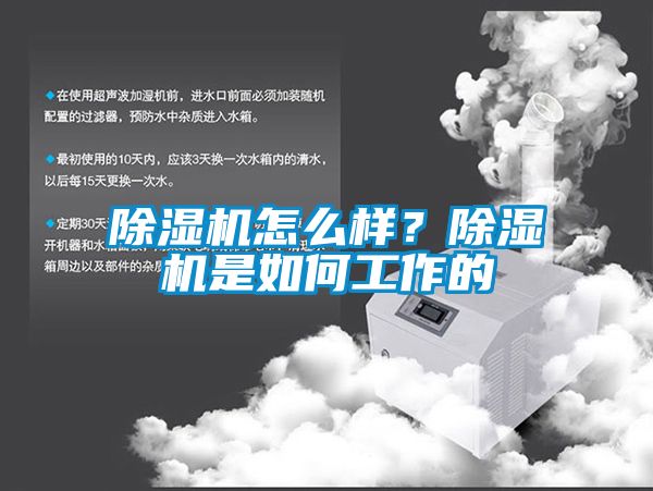 除濕機怎么樣？除濕機是如何工作的