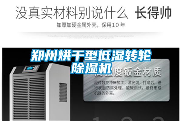 鄭州烘干型低濕轉輪除濕機