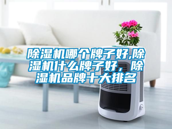 除濕機哪個牌子好,除濕機什么牌子好，除濕機品牌十大排名