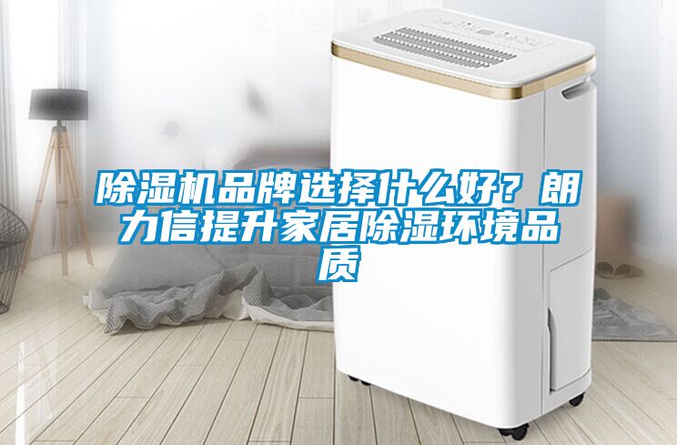 除濕機(jī)品牌選擇什么好？朗力信提升家居除濕環(huán)境品質(zhì)