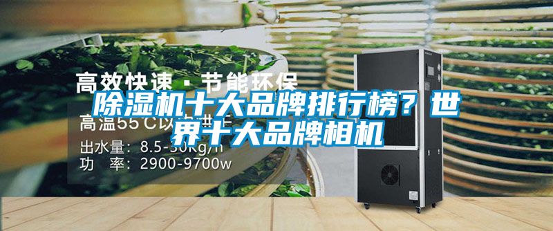 除濕機十大品牌排行榜？世界十大品牌相機