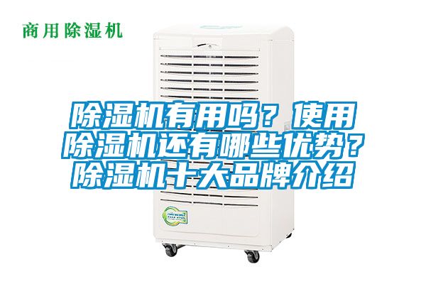 除濕機有用嗎？使用除濕機還有哪些優勢？除濕機十大品牌介紹