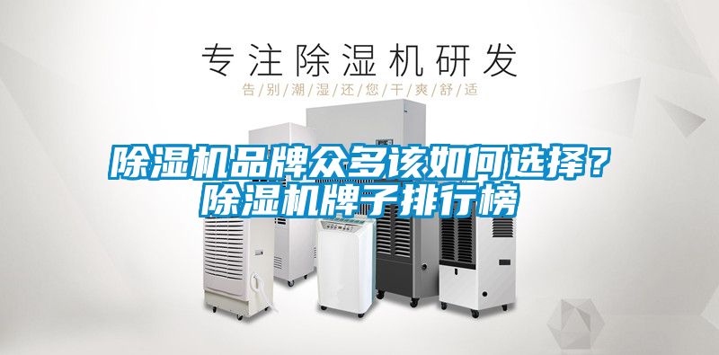 除濕機品牌眾多該如何選擇？除濕機牌子排行榜