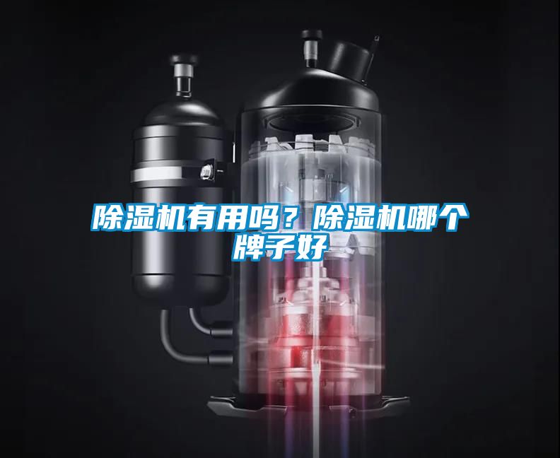 除濕機(jī)有用嗎？除濕機(jī)哪個(gè)牌子好