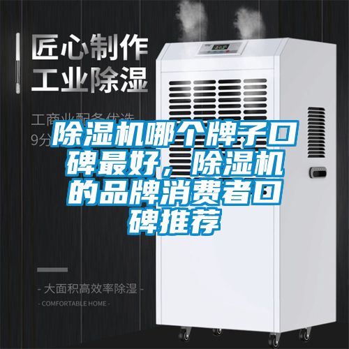 除濕機哪個牌子口碑最好，除濕機的品牌消費者口碑推薦