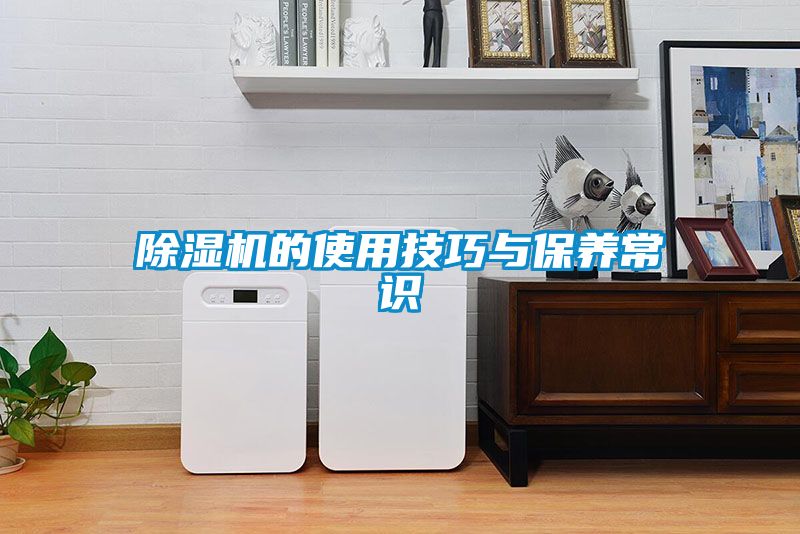 除濕機的使用技巧與保養(yǎng)常識