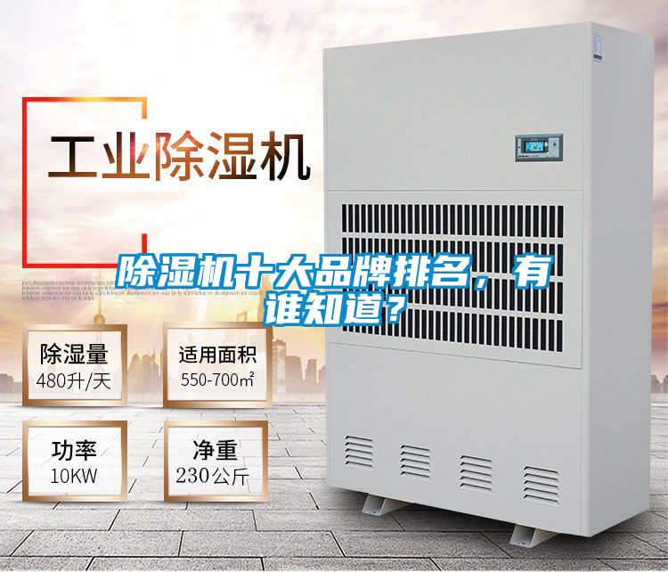除濕機十大品牌排名，有誰知道？