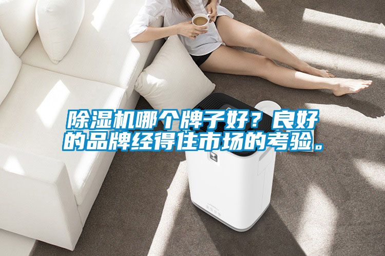 除濕機哪個牌子好？良好的品牌經得住市場的考驗。