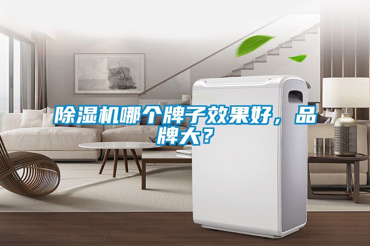 除濕機哪個牌子效果好，品牌大？