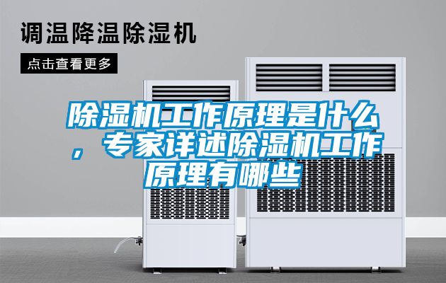 除濕機工作原理是什么，專家詳述除濕機工作原理有哪些
