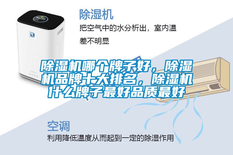 除濕機哪個牌子好，除濕機品牌十大排名，除濕機什么牌子最好品質最好
