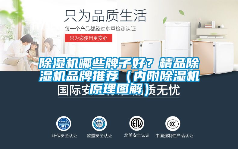 除濕機哪些牌子好？精品除濕機品牌推薦（內附除濕機原理圖解）