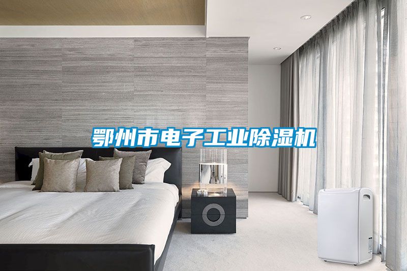 鄂州市電子工業除濕機