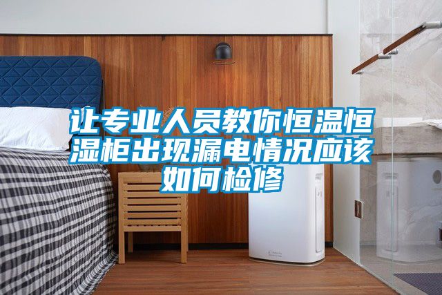 讓專業人員教你恒溫恒濕柜出現漏電情況應該如何檢修