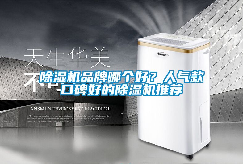 除濕機(jī)品牌哪個(gè)好？人氣款口碑好的除濕機(jī)推薦