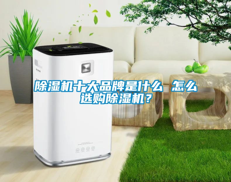 除濕機十大品牌是什么 怎么選購除濕機？