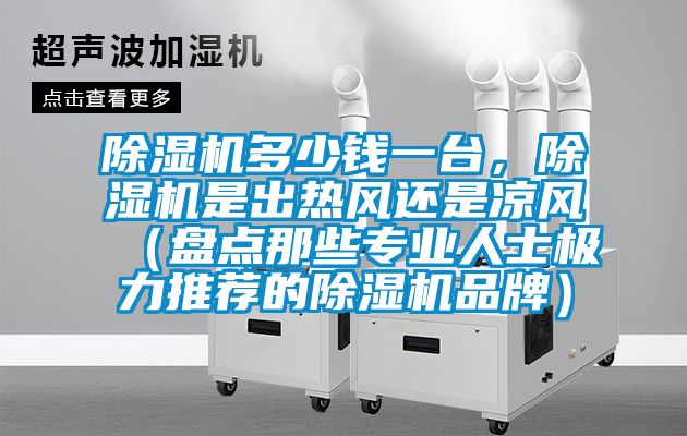 除濕機多少錢一臺，除濕機是出熱風(fēng)還是涼風(fēng)（盤點那些專業(yè)人士極力推薦的除濕機品牌）