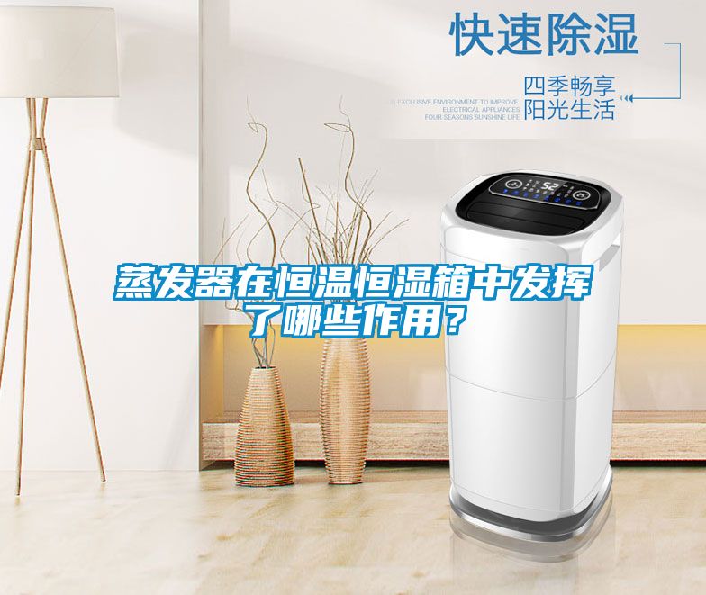 蒸發器在恒溫恒濕箱中發揮了哪些作用？
